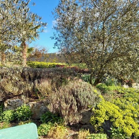 لو رو Havre De Paix Et Jardin Tropical. Chambre Privee المظهر الخارجي الصورة
