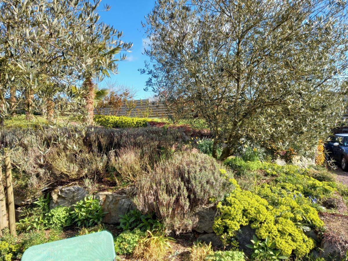 لو رو Havre De Paix Et Jardin Tropical. Chambre Privee المظهر الخارجي الصورة